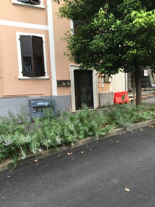 Appartamento I Sentieri 23 Riva del Garda Exterior foto